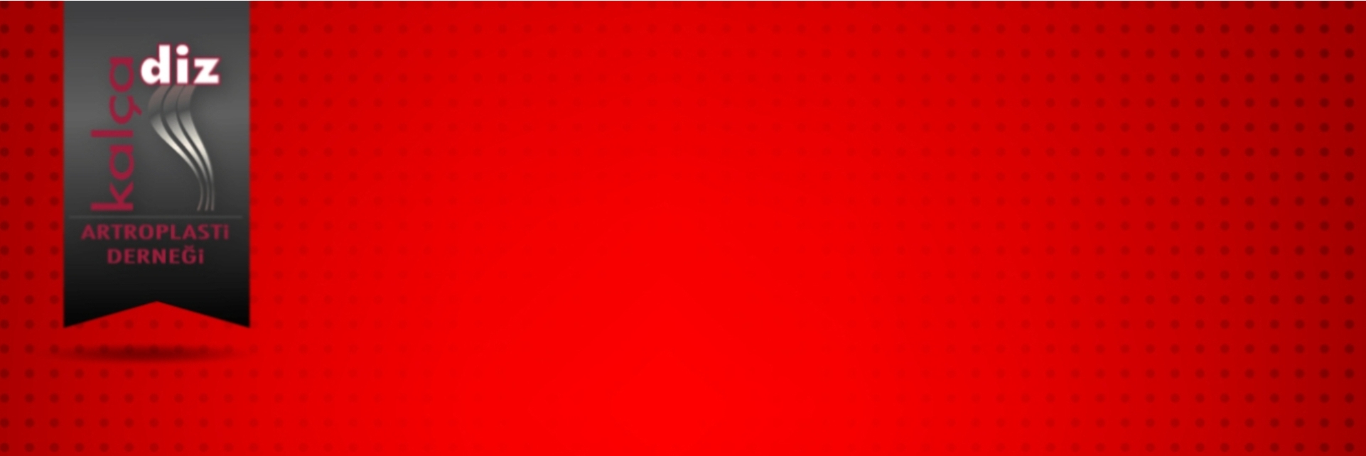 24. Temel Artroplasti Kursu - İstanbul